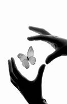 ����ũ��� ����